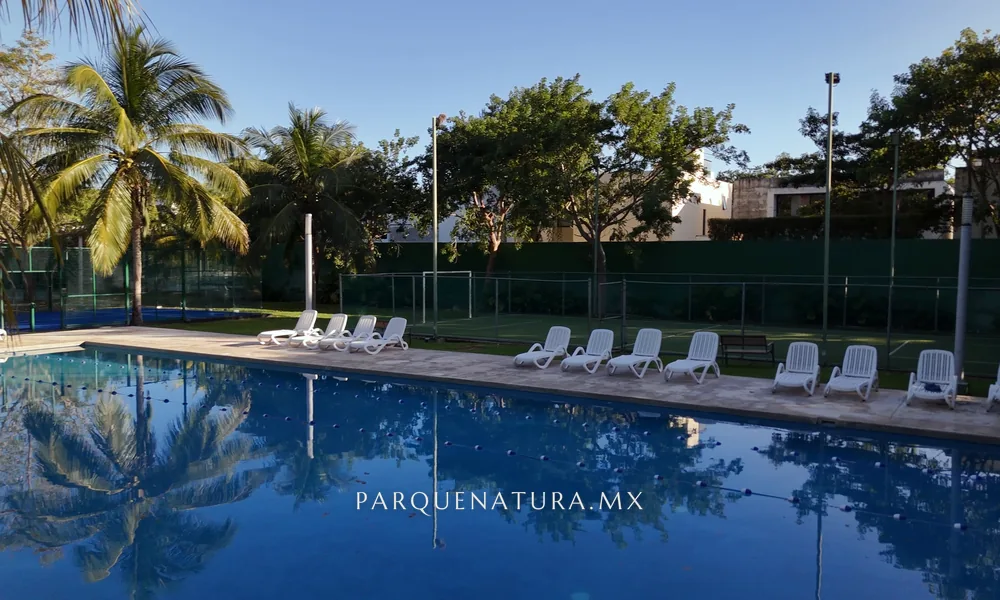 Alberca de la casa club con terraza, camastros y palmeras