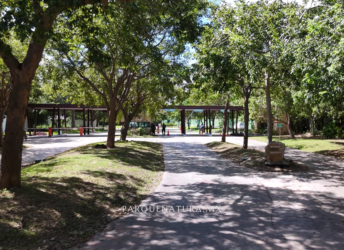 Entrada arbolada al pórtico de Parque Natura I, con jardín y árboles grandes