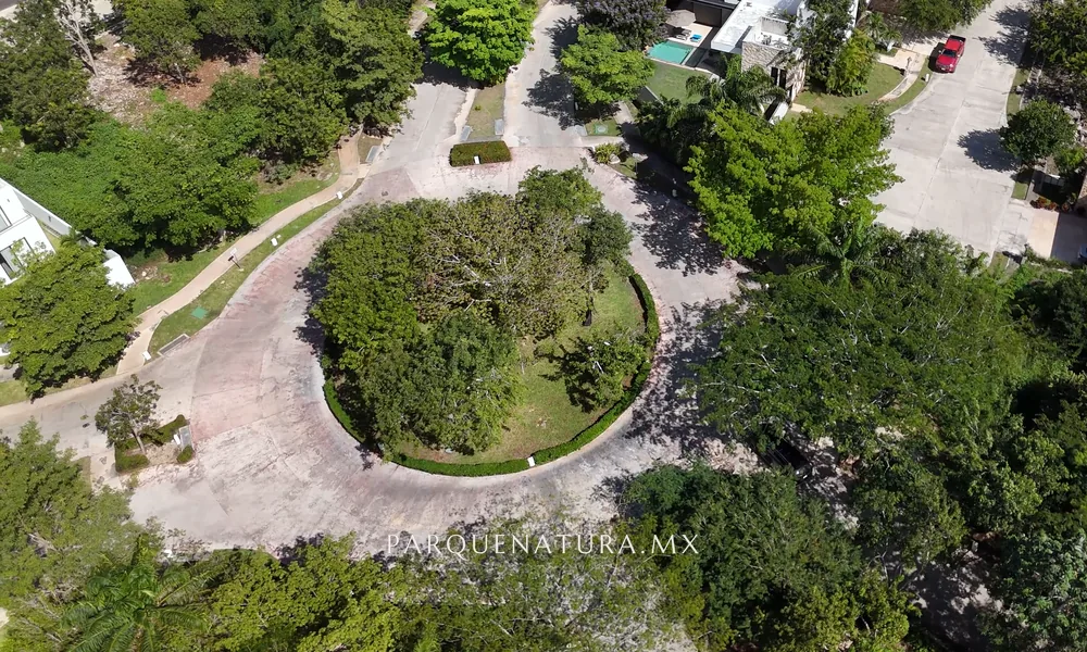 Glorieta con árboles y jardín en una calle de Parque Natura