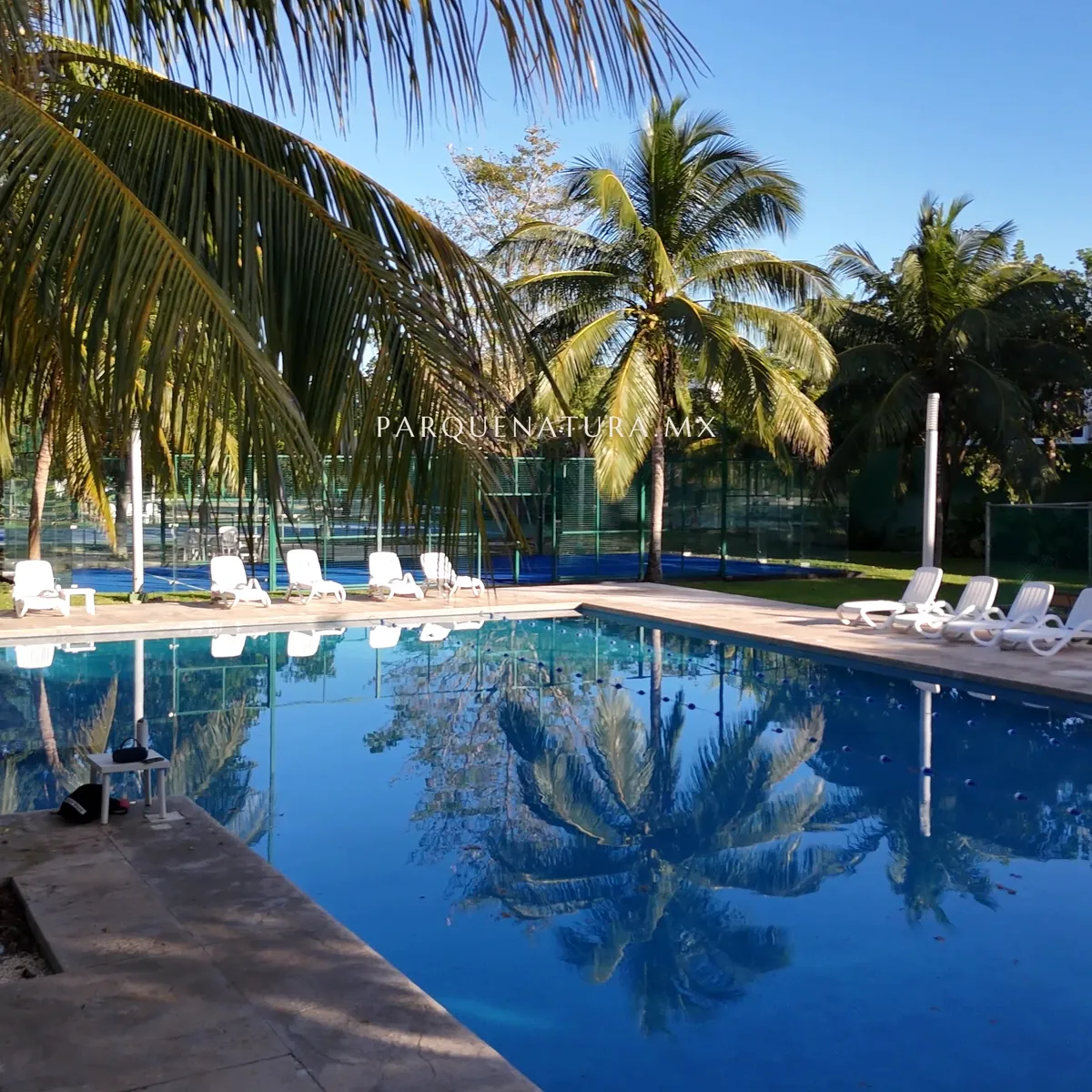 Parque Natura I clubhouse pool, with the palm trees reflected in the water