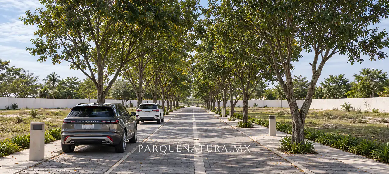 Avenida de Parque Natura II con camellón y árboles, render